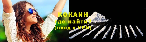 шишки Балахна
