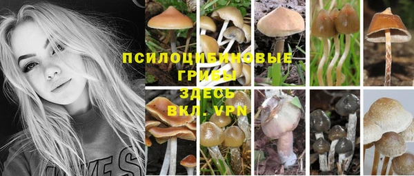 шишки Балахна