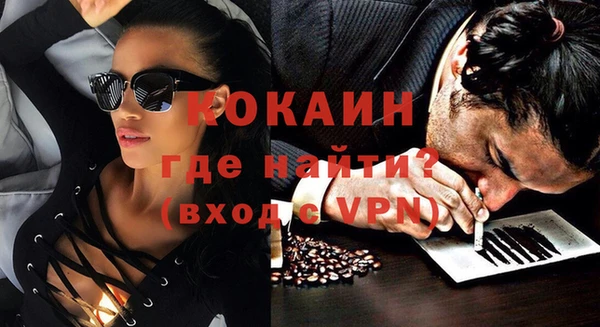 шишки Балахна