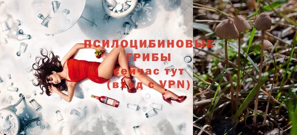 a pvp Балабаново