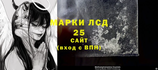 шишки Балахна