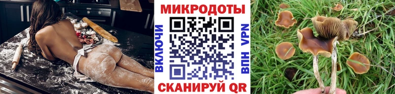 купить  цена  Ясный  Псилоцибиновые грибы мухоморы 